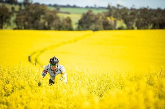 Wagga Beers and Gears 2022